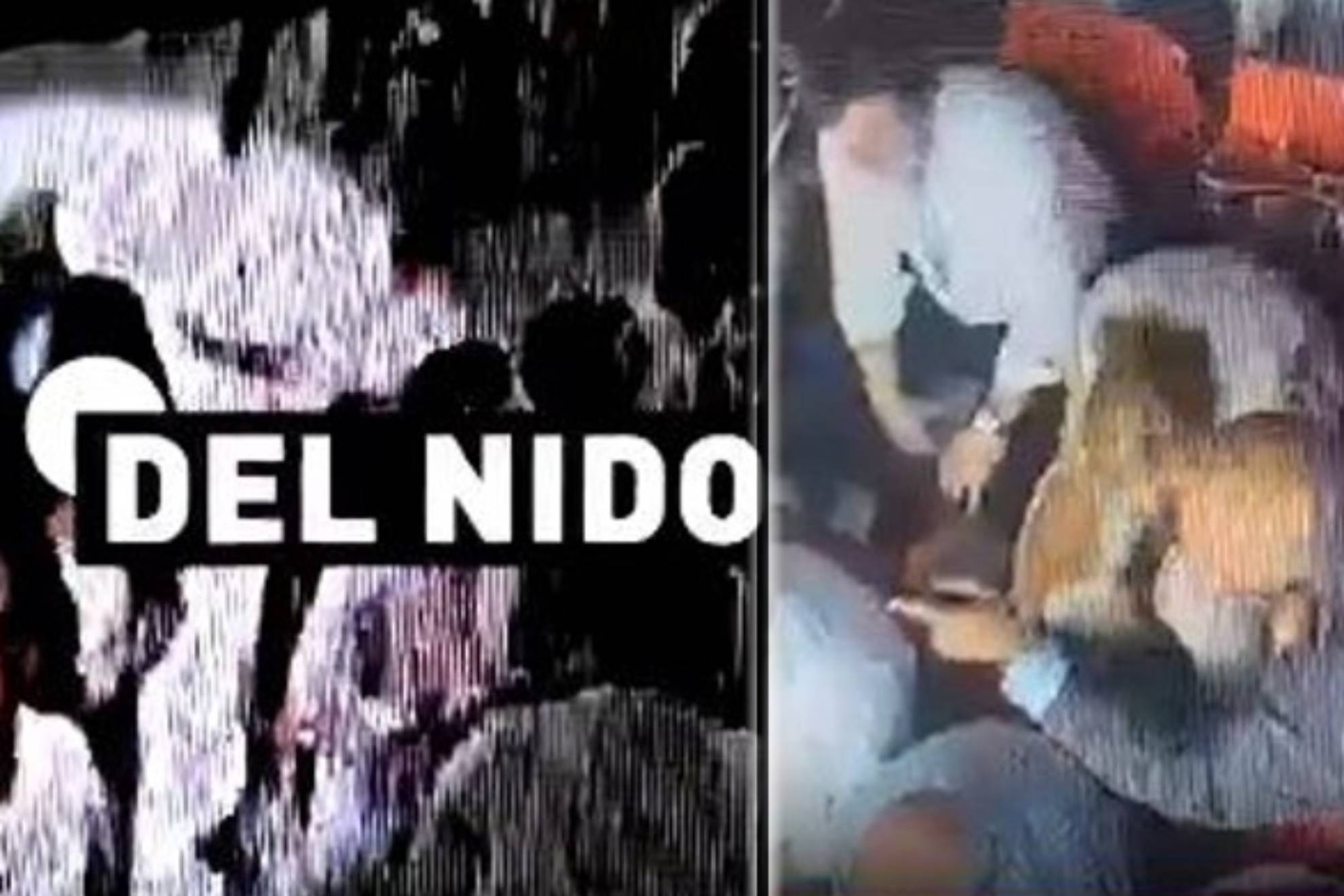 大部分学校 大部分学校